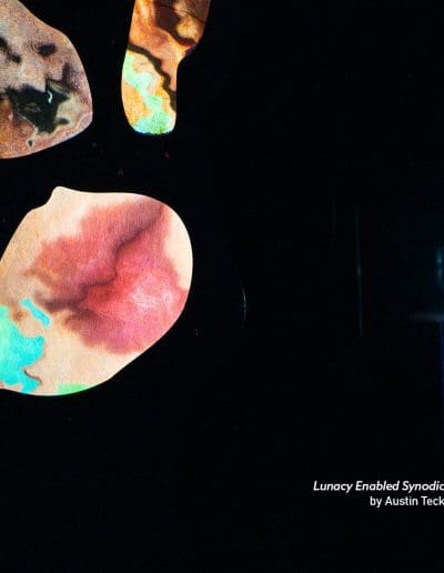 lunar arts award exhibit